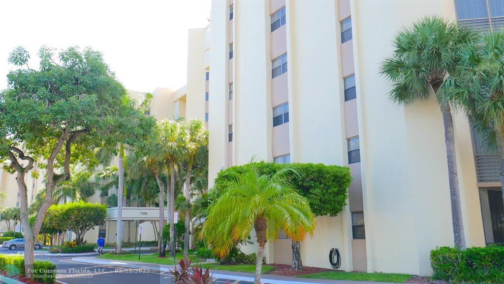 7300 Radice Court, Unit 302 Lauderhill, FL 33319 - Photo 80 of 81 a palm tree sitting in front of a house next to a yard