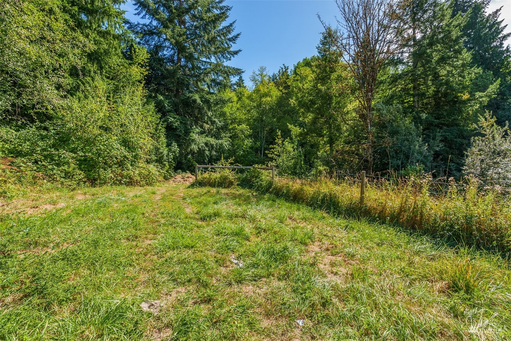 20910 Zenkner Valley Road Centralia, WA 98531 - Photo 24 of 31 Gallery Image 24