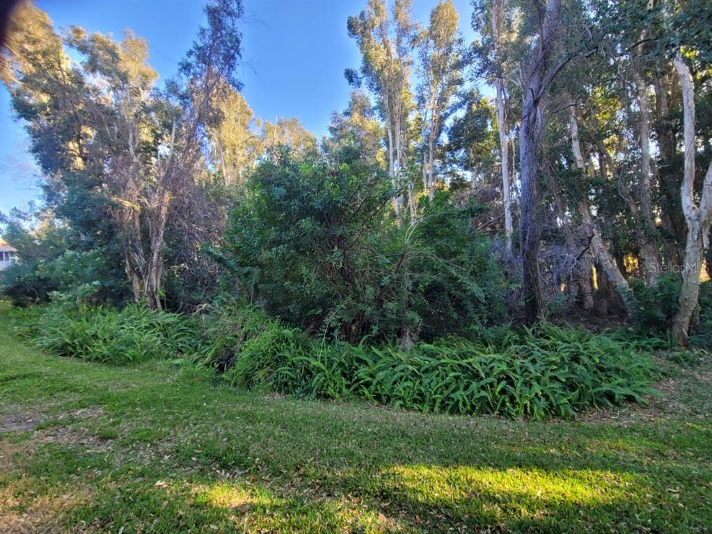 820 Lantern Way, Unit 101 Clearwater, FL 33765 - Photo 34 of 45