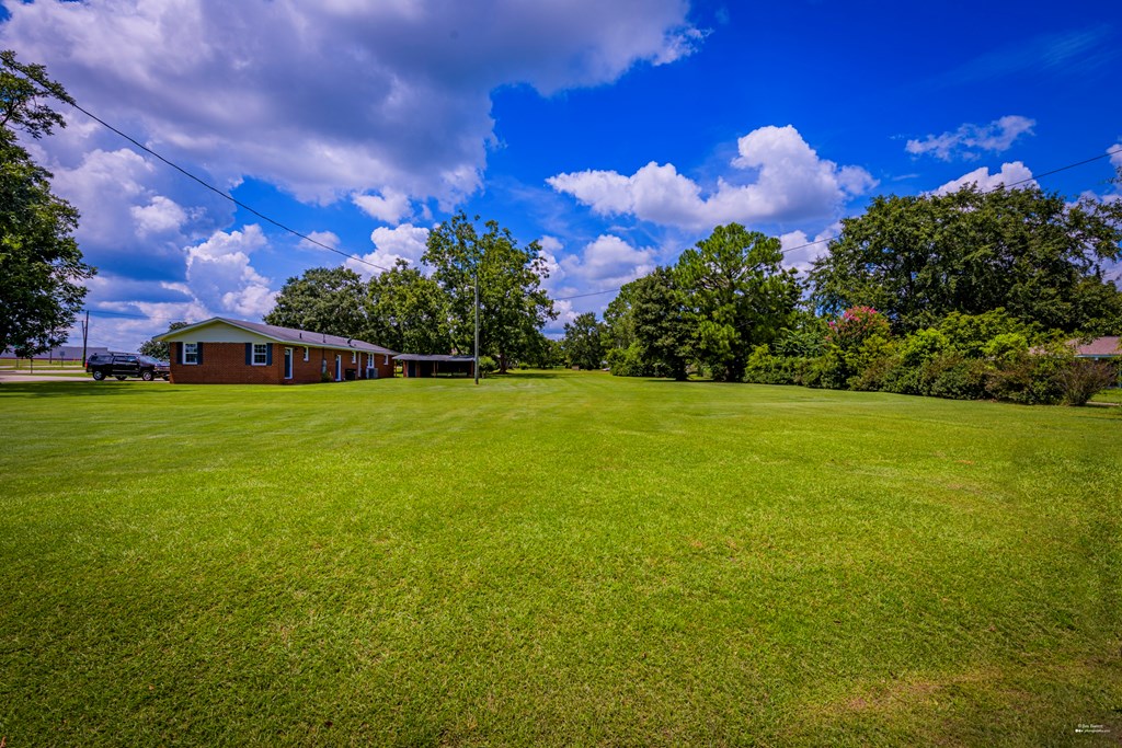3101 Clayborne Road Dothan, AL 36303 - Photo 19 of 22 Back yard
