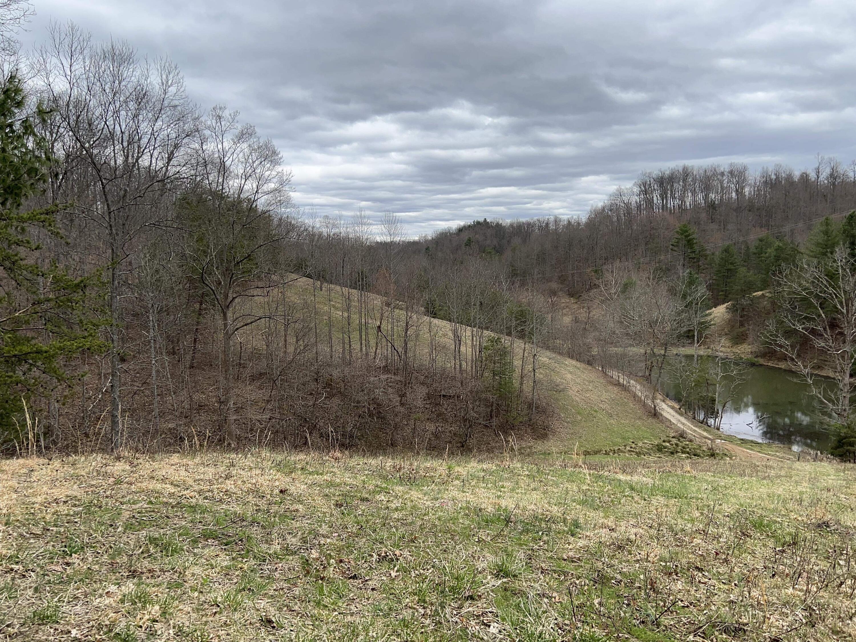 1 Dunn Road Campton, KY 41301 - Photo 11 of 69 IMG_7970