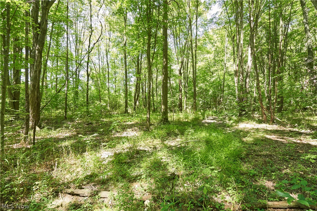 3265 Ridgewood Road Fairlawn, OH 44333 - Photo 20 of 21 Woods behind the house