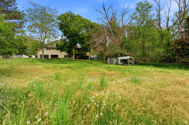 871 Bonita Way Centerville, UT 84014 - Photo 52 of 61 Expansive grassy area featuring natural vegetation and scattered white wildflowers