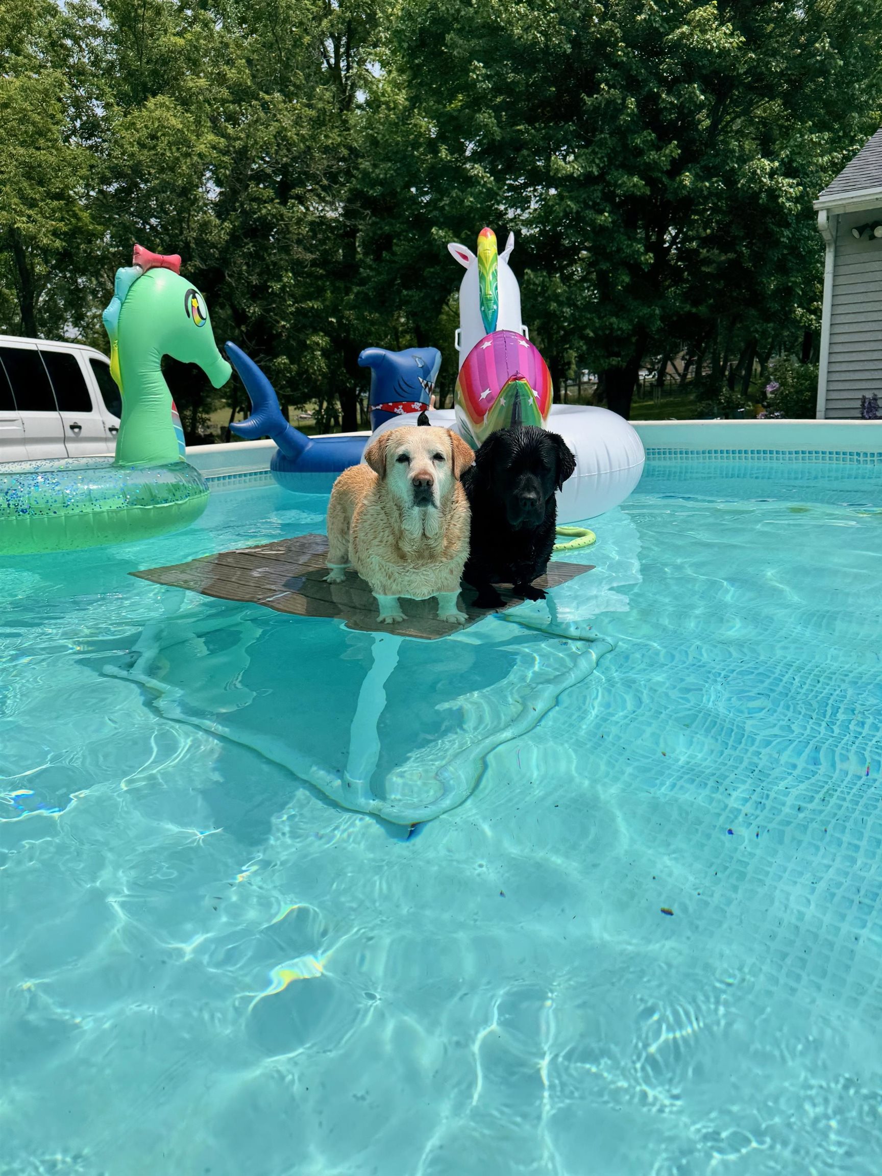 11371 Havenswood Road Roscoe, IL 61073 - Photo 11 of 24 a view of a backyard with table and chairs and potted plants