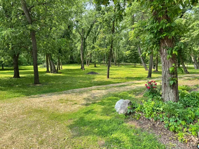 a view of a park with large trees