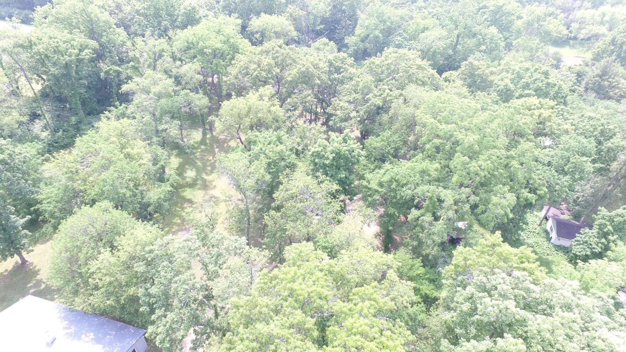 11371 Havenswood Road Roscoe, IL 61073 - Photo 2 of 24 a close up of a tree