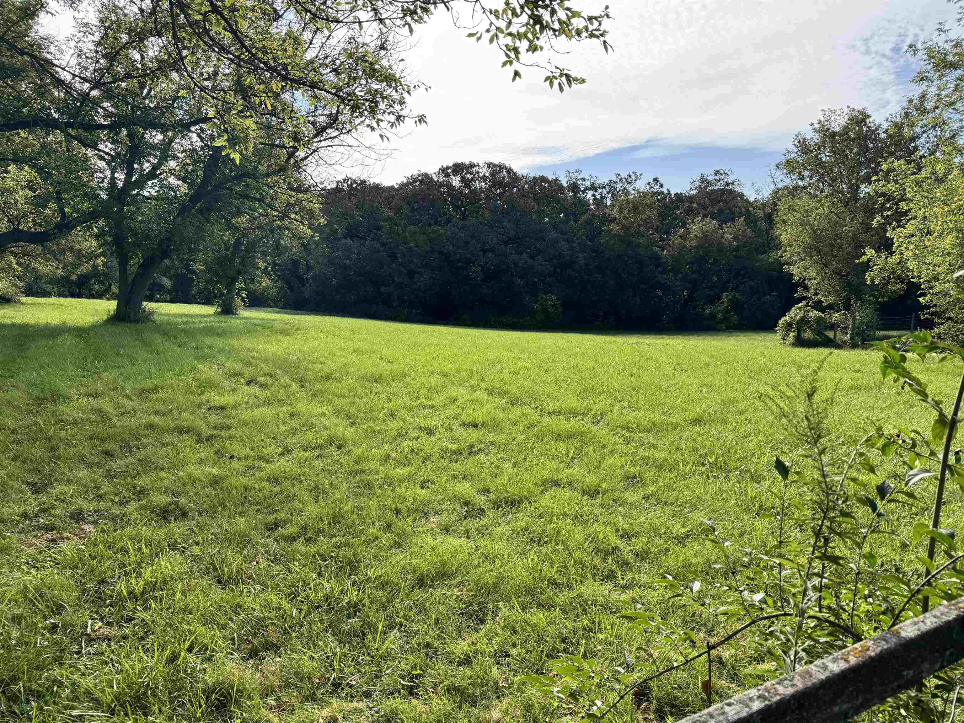 11371 Havenswood Road Roscoe, IL 61073 - Photo 22 of 24 a view of an outdoor space and a yard