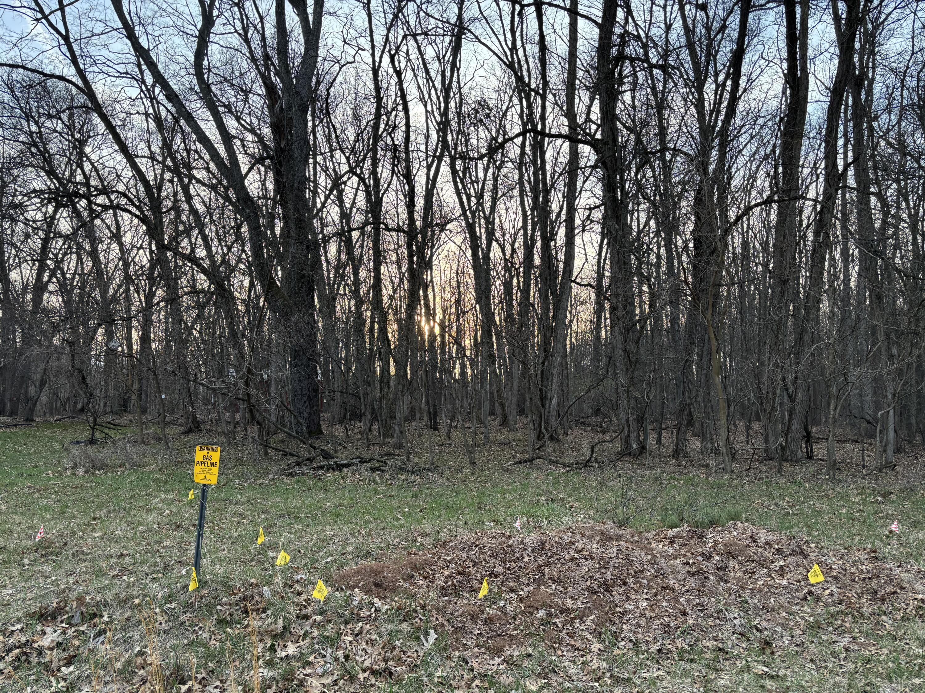 11560 Rutan Circle Jerome, MI 49249 - Photo 1 of 2 Partially Wooded lot