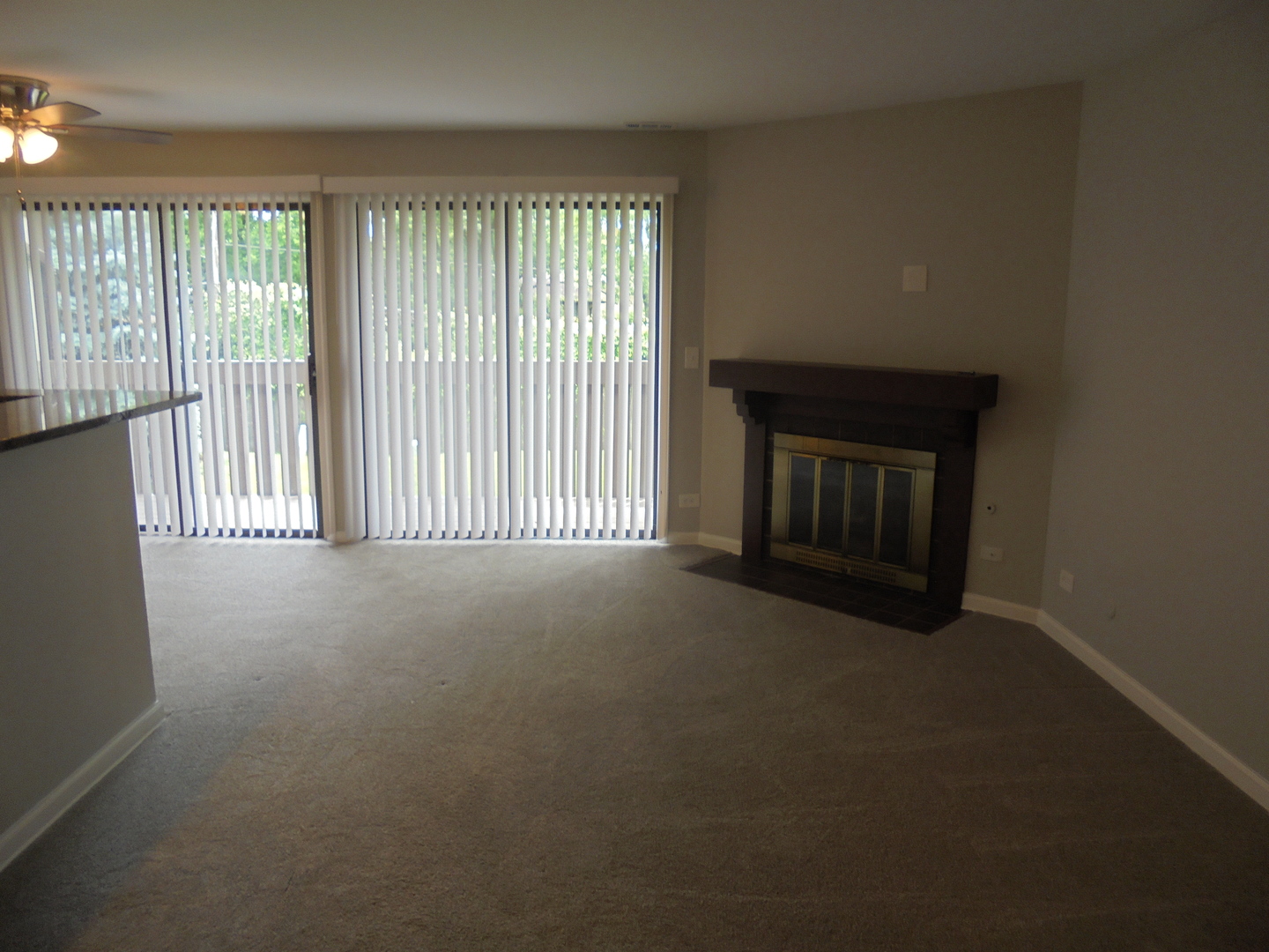 4730 Calvert Drive, Unit C2 Rolling Meadows, IL 60008 - Photo 5 of 29