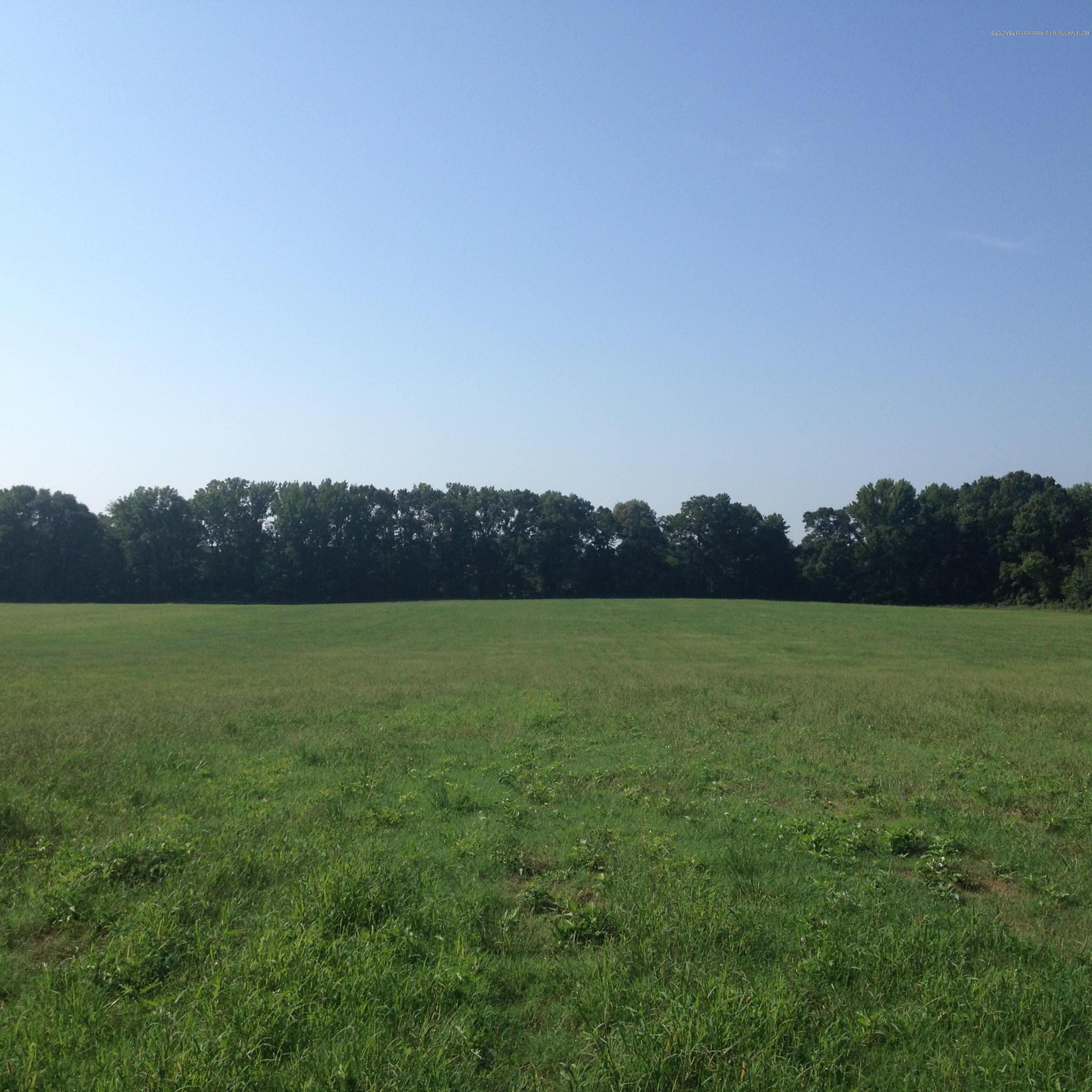 8000 Veazey Road Coldwater, MS 38618 - Photo 1 of 10 IMG_1813