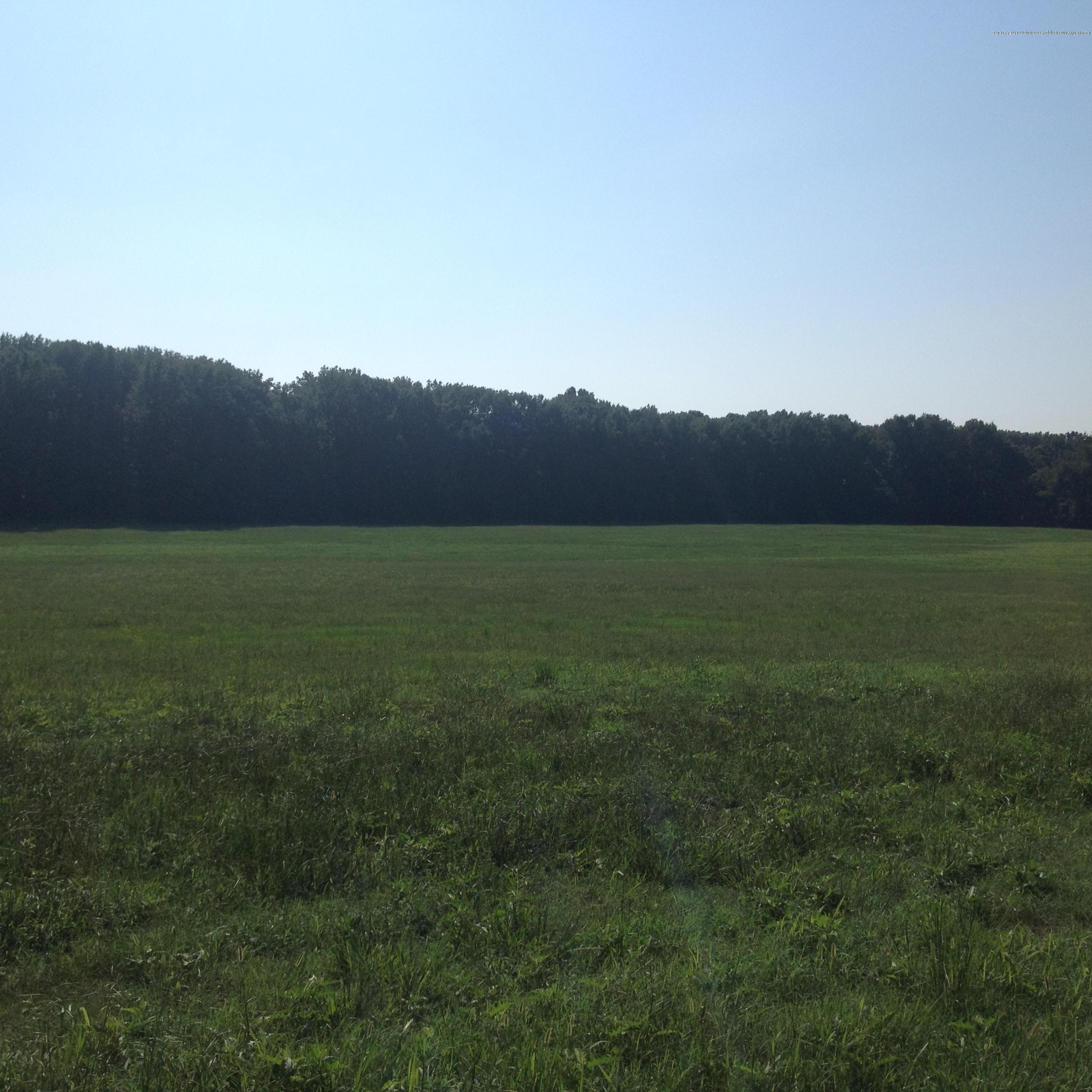 8000 Veazey Road Coldwater, MS 38618 - Photo 2 of 10 IMG_1814