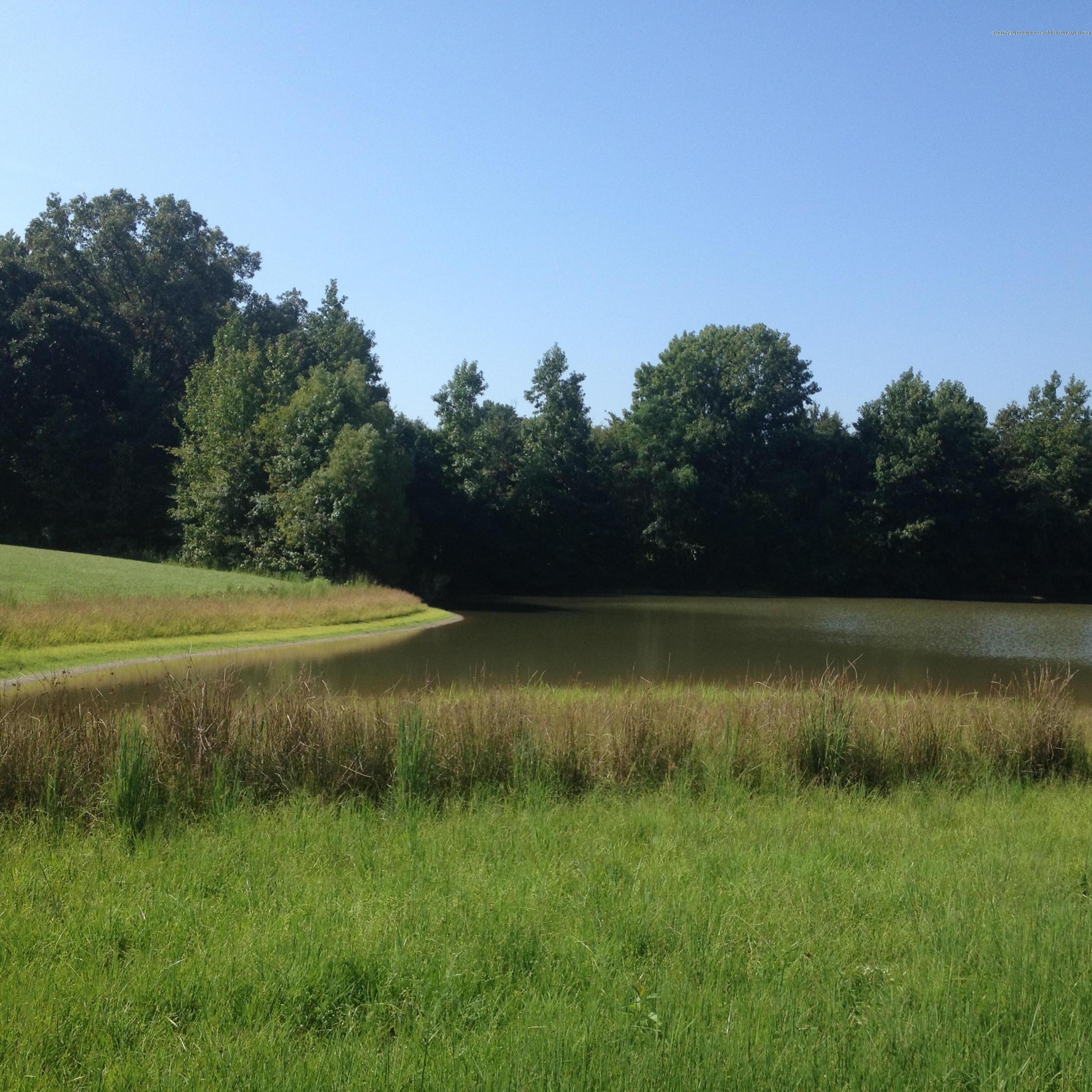 8000 Veazey Road Coldwater, MS 38618 - Photo 6 of 10 IMG_1835