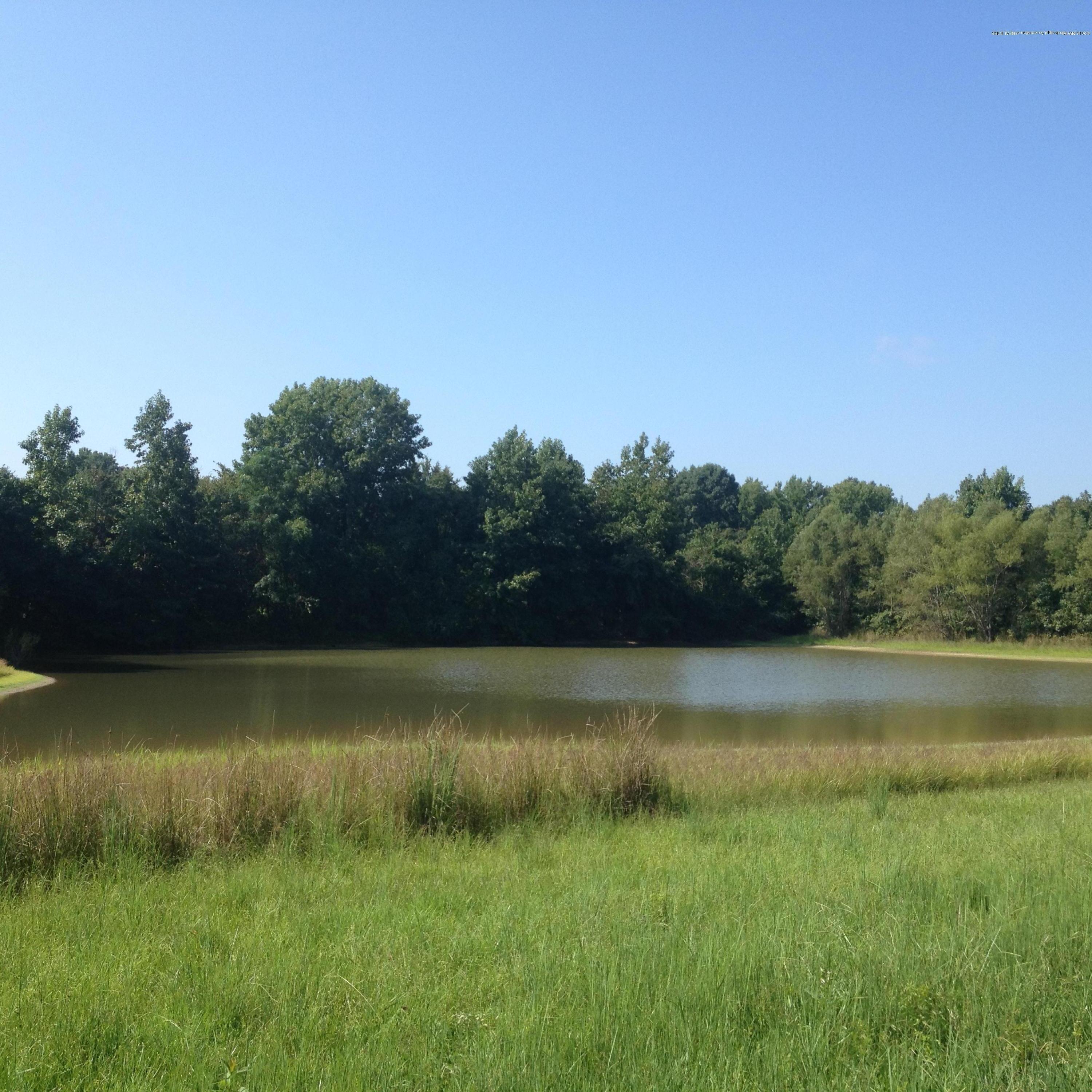 8000 Veazey Road Coldwater, MS 38618 - Photo 7 of 10 IMG_1836