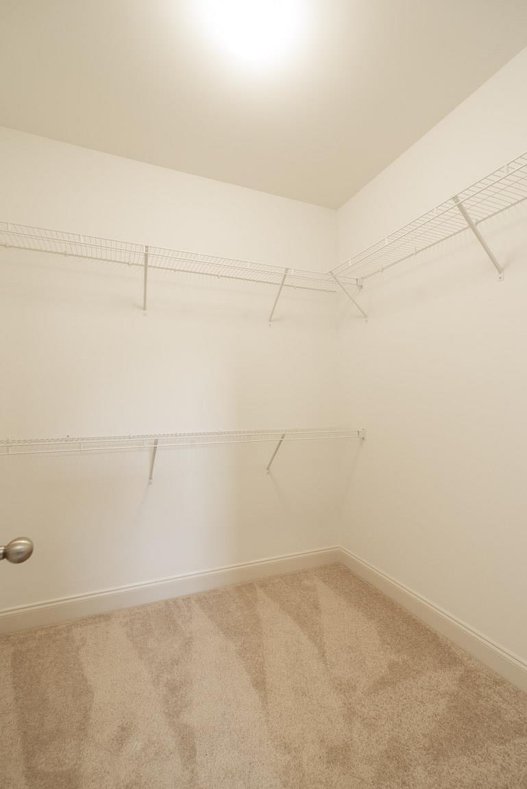 413 Butler Road Mount Juliet, TN 37122 - Photo 21 of 24 Large closet just through the bath.