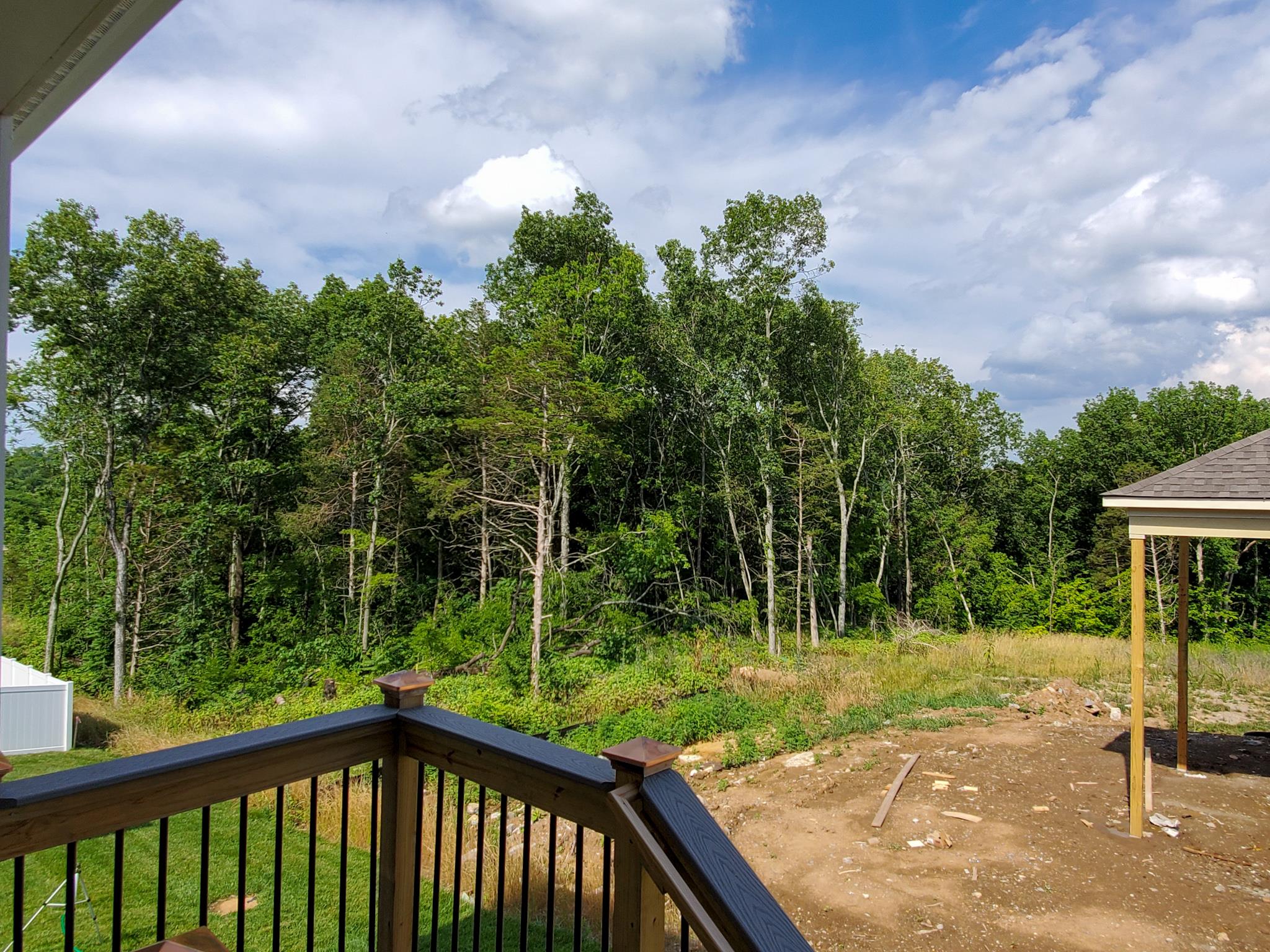 413 Butler Road Mount Juliet, TN 37122 - Photo 24 of 24 Nice wooded area behind your home.