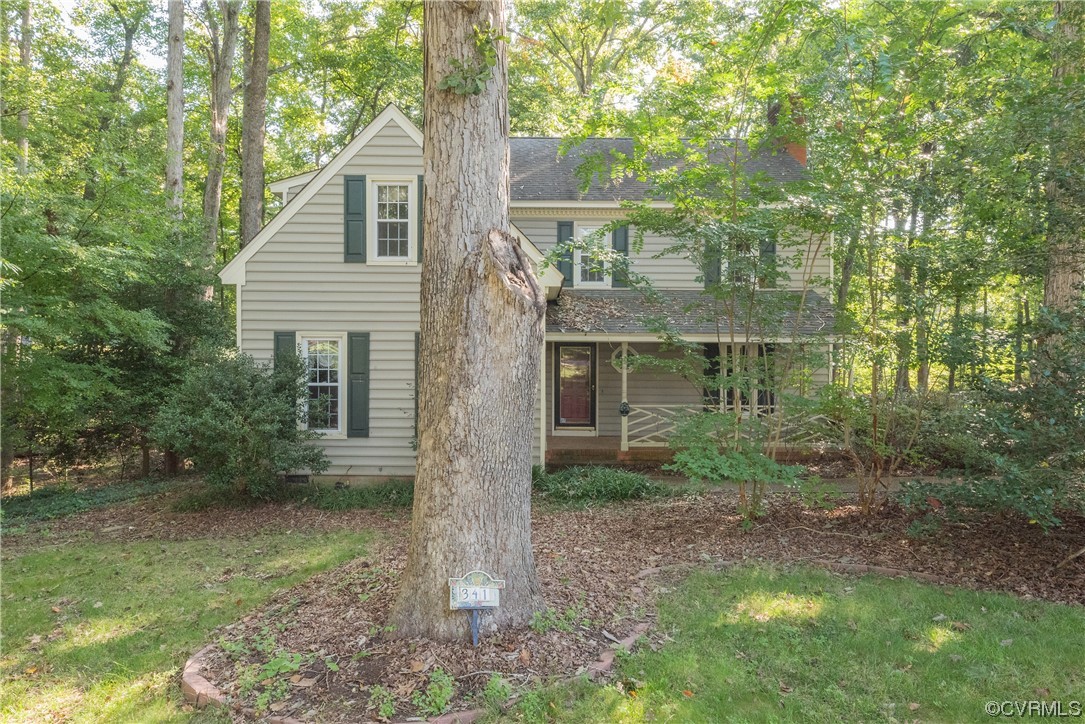 341 Rossmere Drive Midlothian, VA 23114 - Photo 34 of 35 a backyard of a house with plants and garden