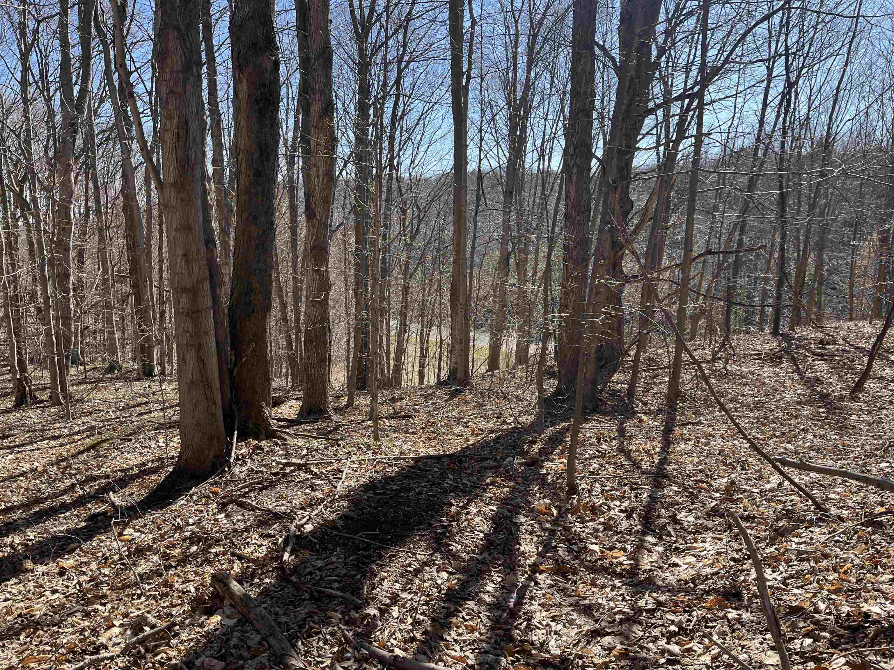 Parcel D Lobb Road Frankfort, MI 49635 - Photo 10 of 13
