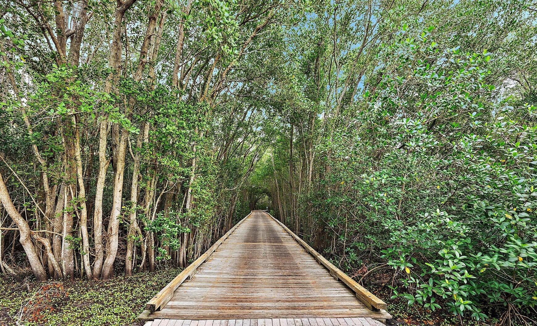 9790 Southeast Crape Myrtle Court Hobe Sound, FL 33455 - Photo 43 of 74 9790 SE Crape Myrtle Ct-37crop
