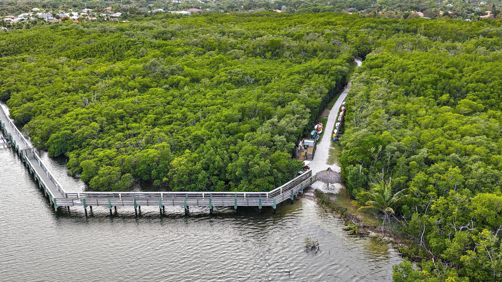9790 Southeast Crape Myrtle Court Hobe Sound, FL 33455 - Photo 49 of 74 a view of a yard with wooden deck
