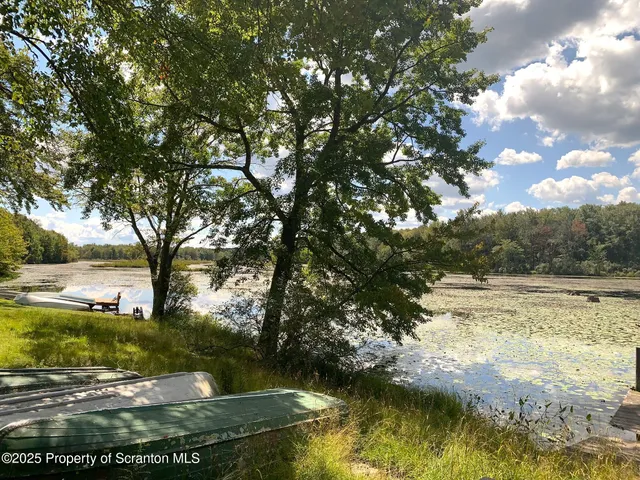 a view of lake with green space