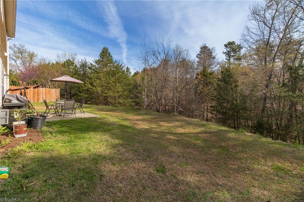 744 Celtic Crossing Drive High Point, NC 27265 - Photo 21 of 22