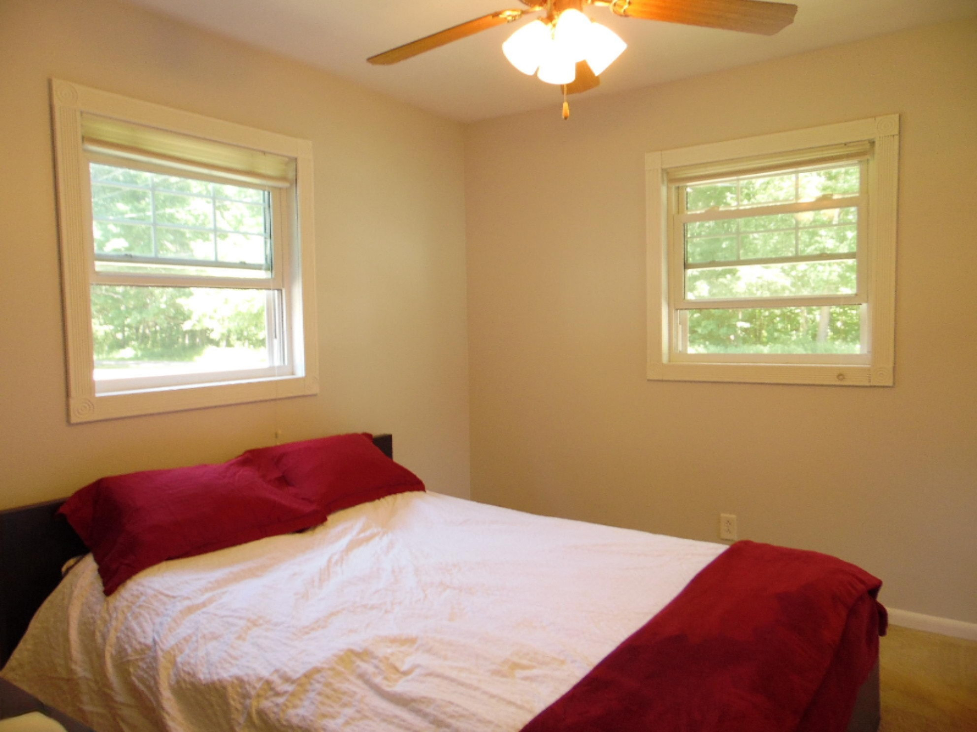 50 Tanner Lake Road Hastings, MI 49058 - Photo 19 of 40 SAM_3475