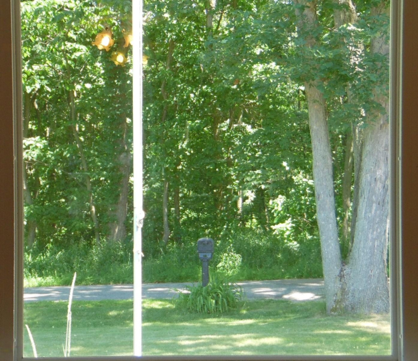 50 Tanner Lake Road Hastings, MI 49058 - Photo 22 of 40 SAM_3494