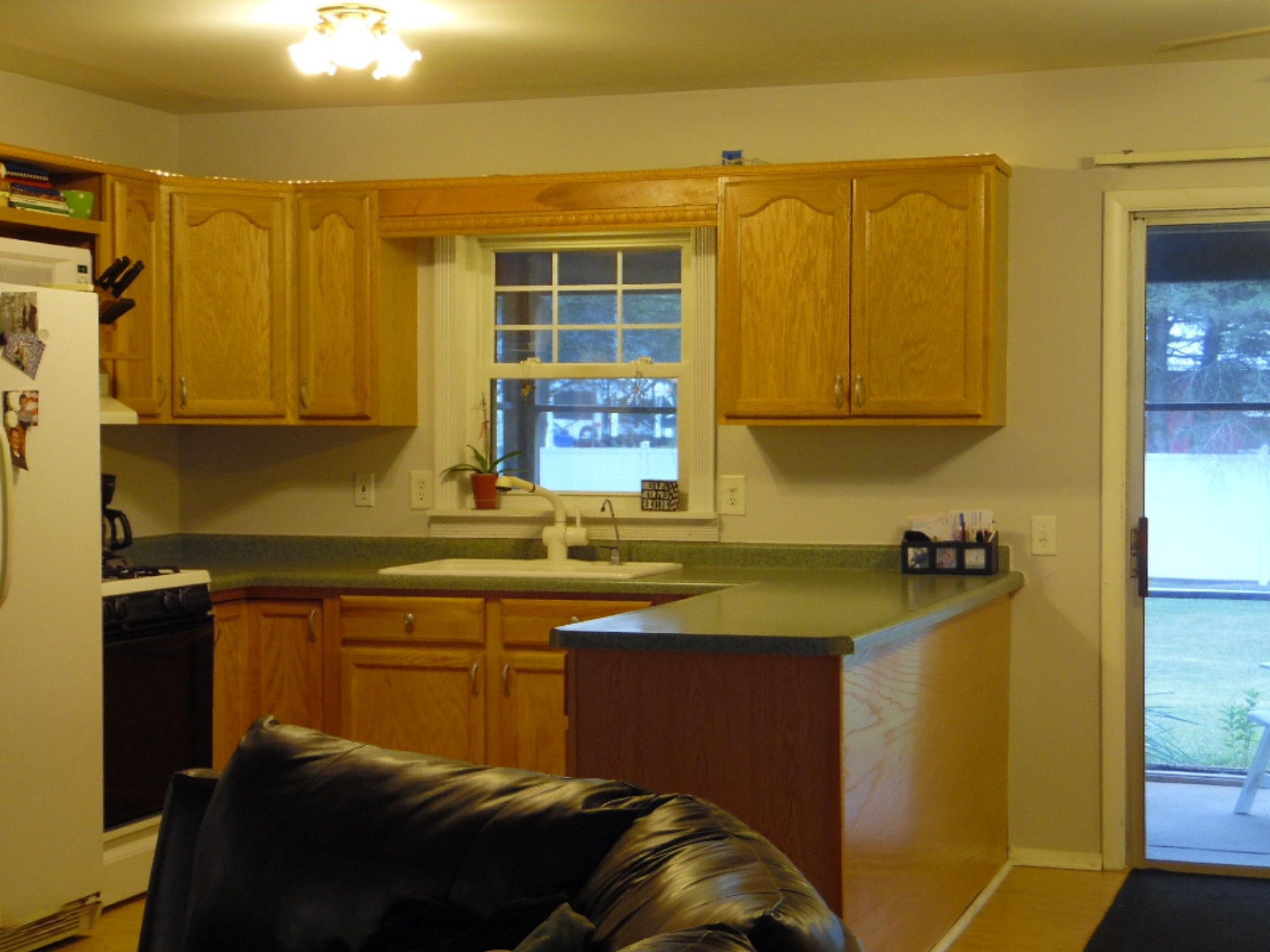 50 Tanner Lake Road Hastings, MI 49058 - Photo 10 of 40 SAM_3565