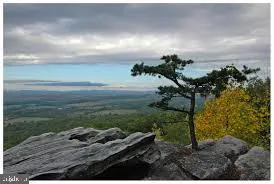 a view of a backyard of the house