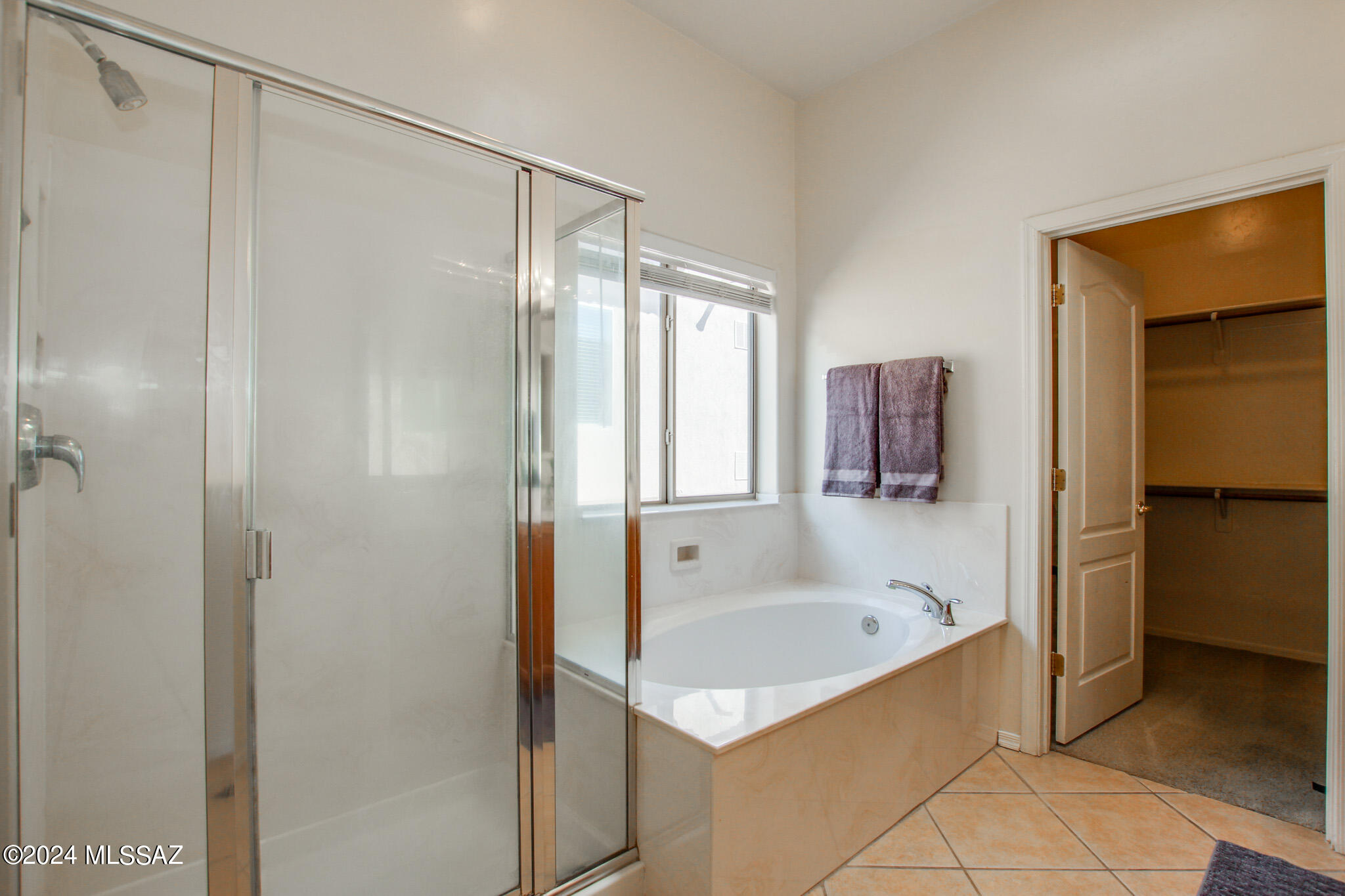 10452 South Frontier Ranch Place Vail, AZ 85641 - Photo 12 of 47