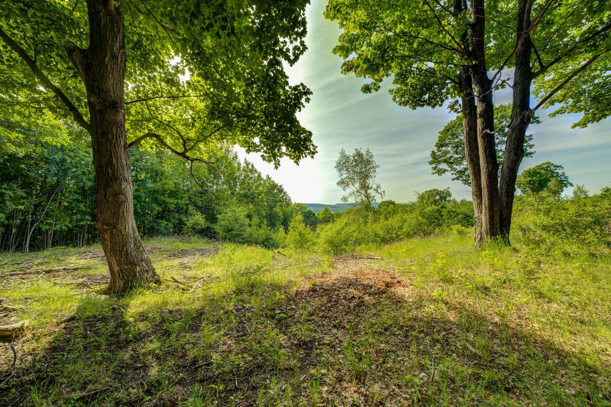 Lot 9 West Harbour Ridge Drive Maple City, MI 49664 - Photo 10 of 24 1947403-d4ff4072-f665-46db-8610-5cbeb8753acb.JPG