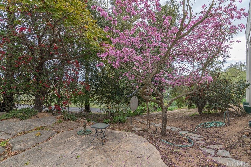 4327 Hollyhill Road Vista, CA 92084 - Photo 4 of 73 Portion of Driveway