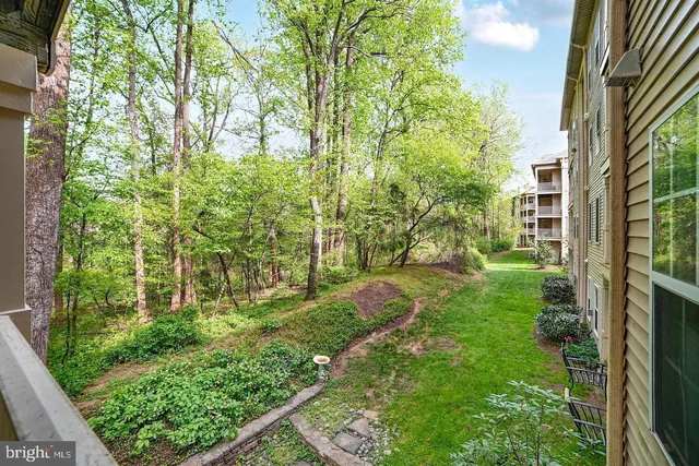 a view of yard with green space