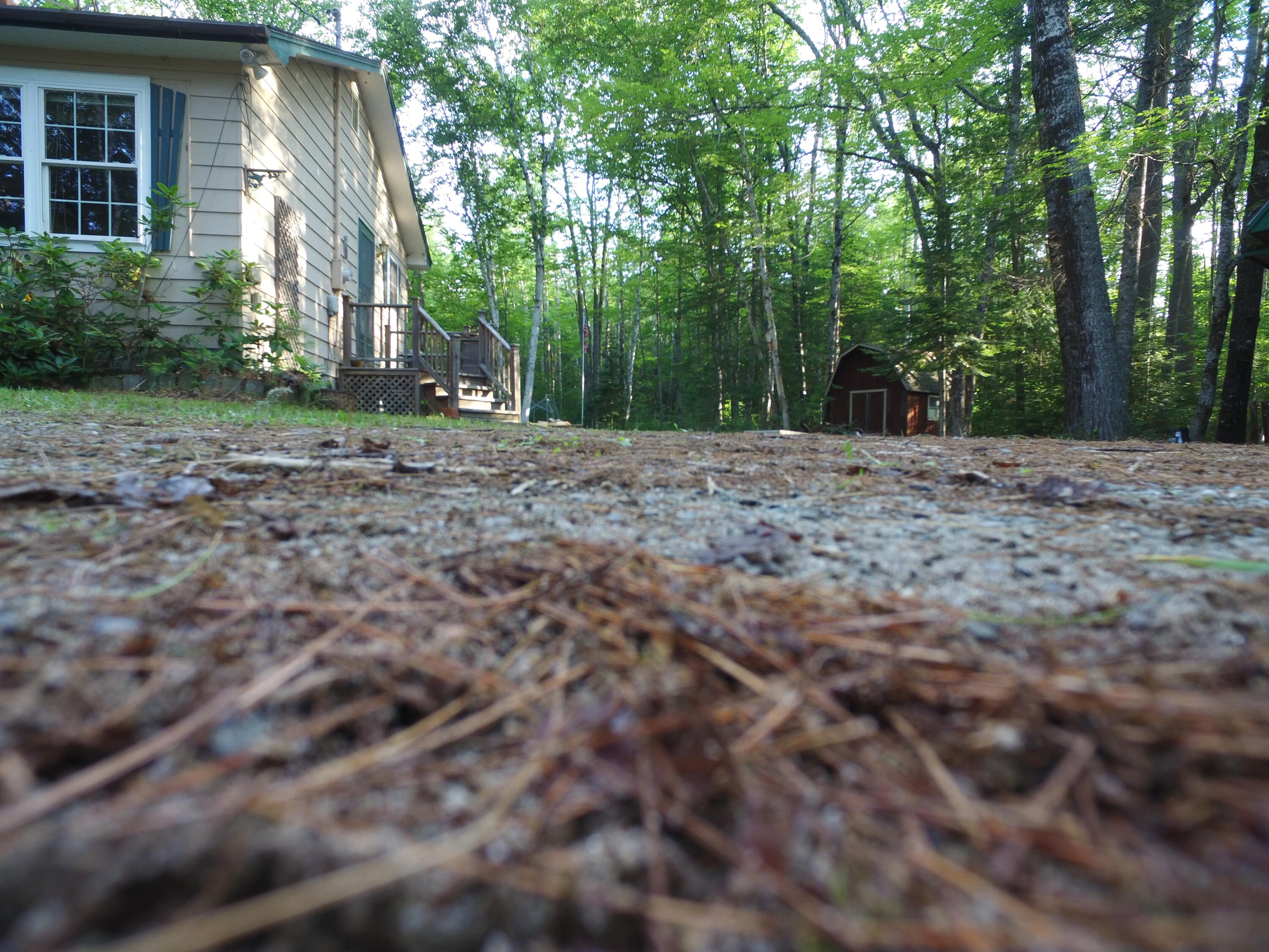 708 Lee Road Lincoln, ME 04457 - Photo 28 of 31 DJI_0001