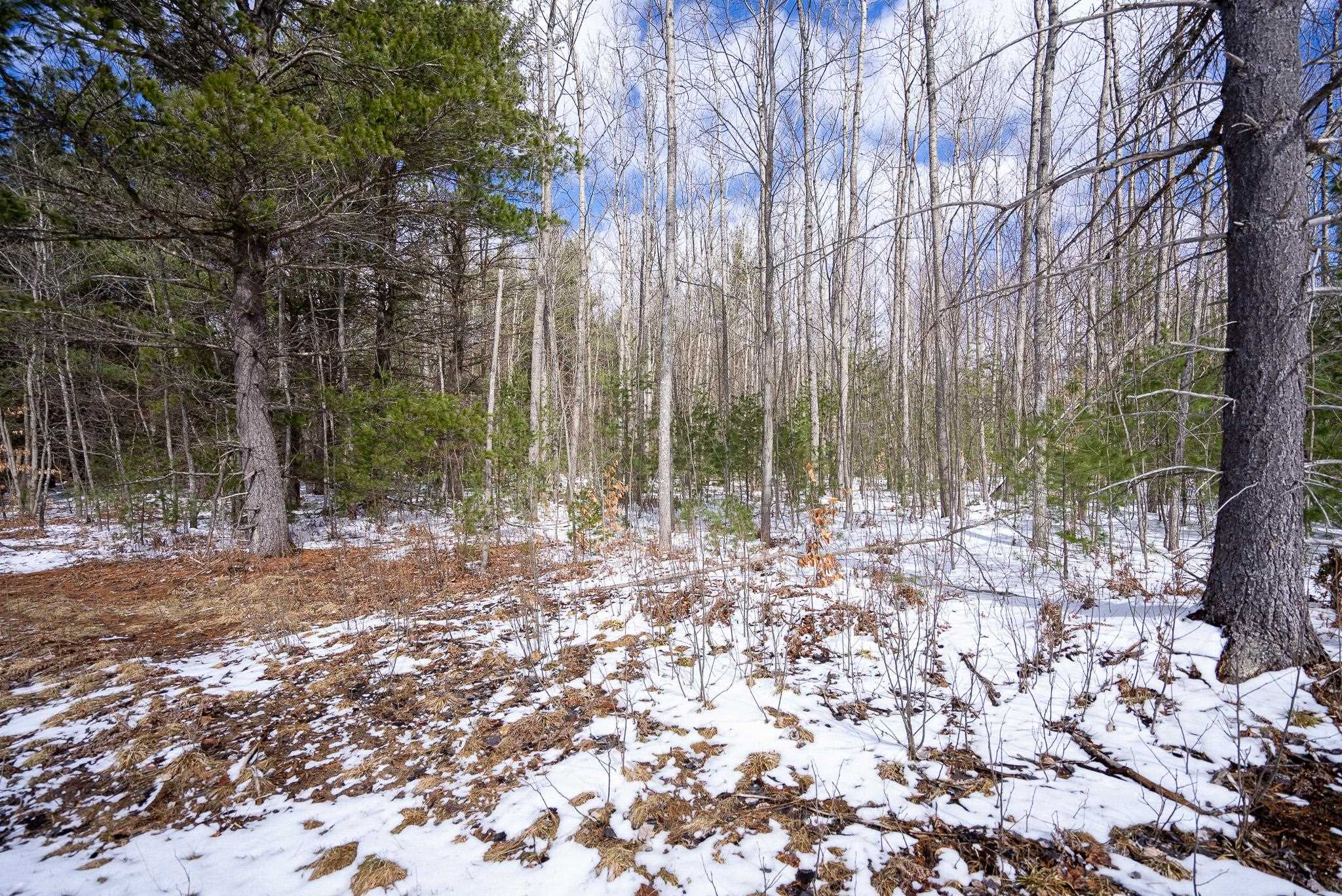 V/l Metzgar Road Northwest Kalkaska, MI 49646 - Photo 6 of 21
