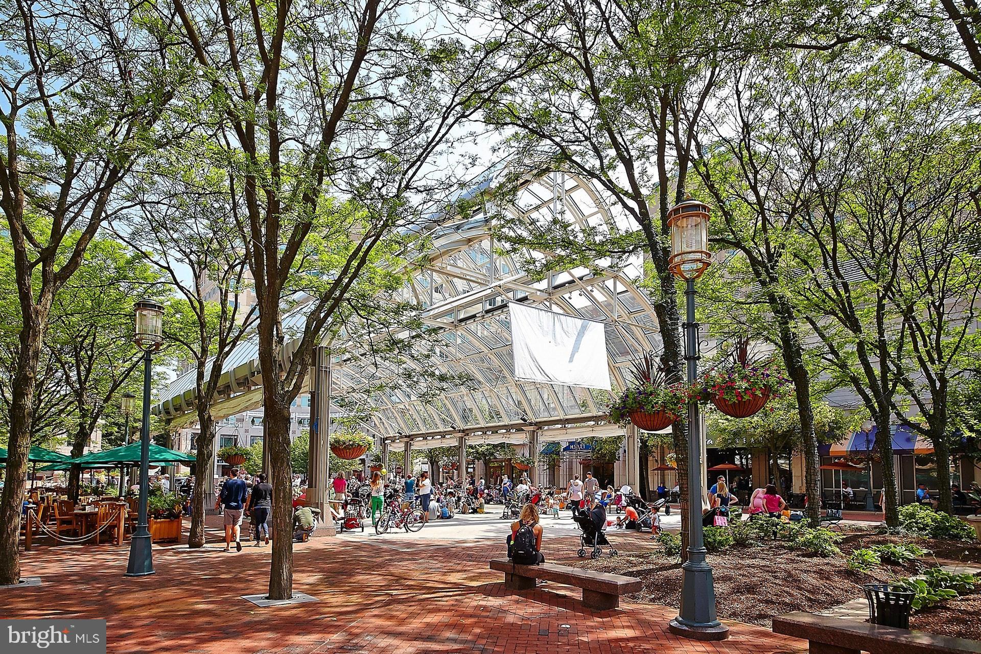 1305 Vintage Place Reston, VA 20194 - Photo 43 of 44 Reston Town Center