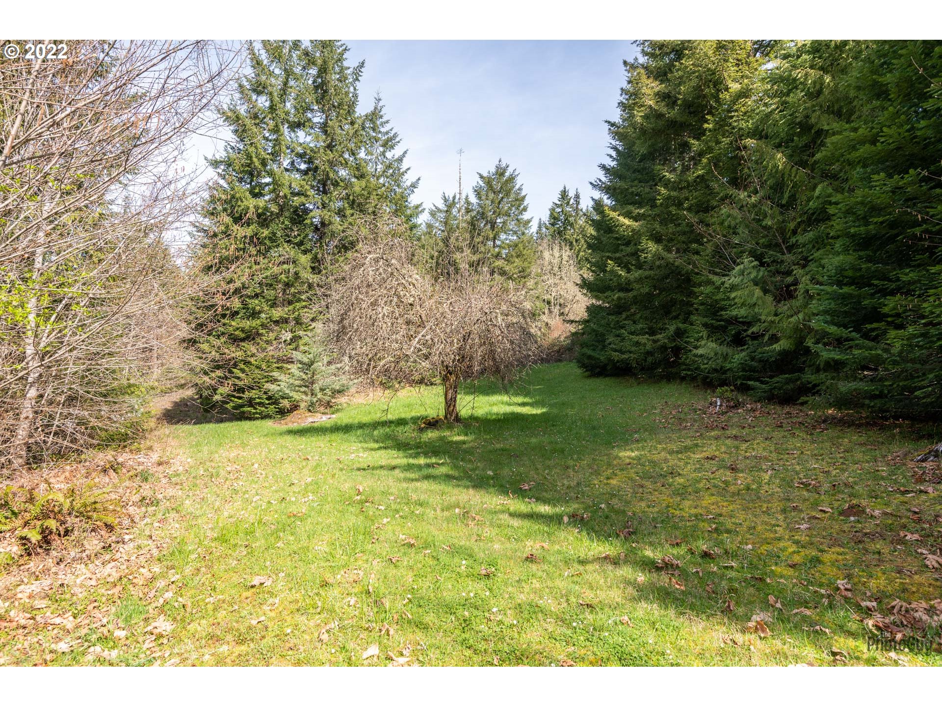 2990 Bennett Creek Road Cottage Grove, OR 97424 - Photo 28 of 31 Gallery Image 28