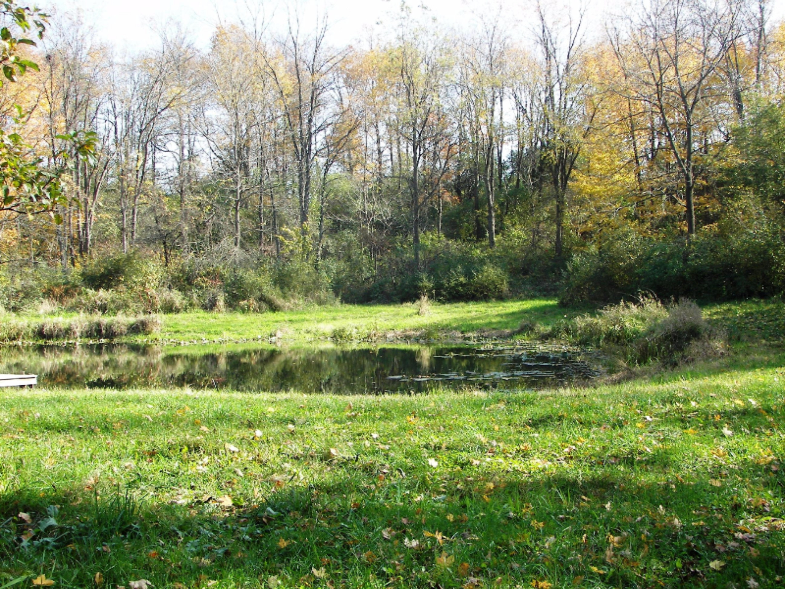 2816 West Sheffield Road Hickory Corners, MI 49060 - Photo 19 of 34 100_8479