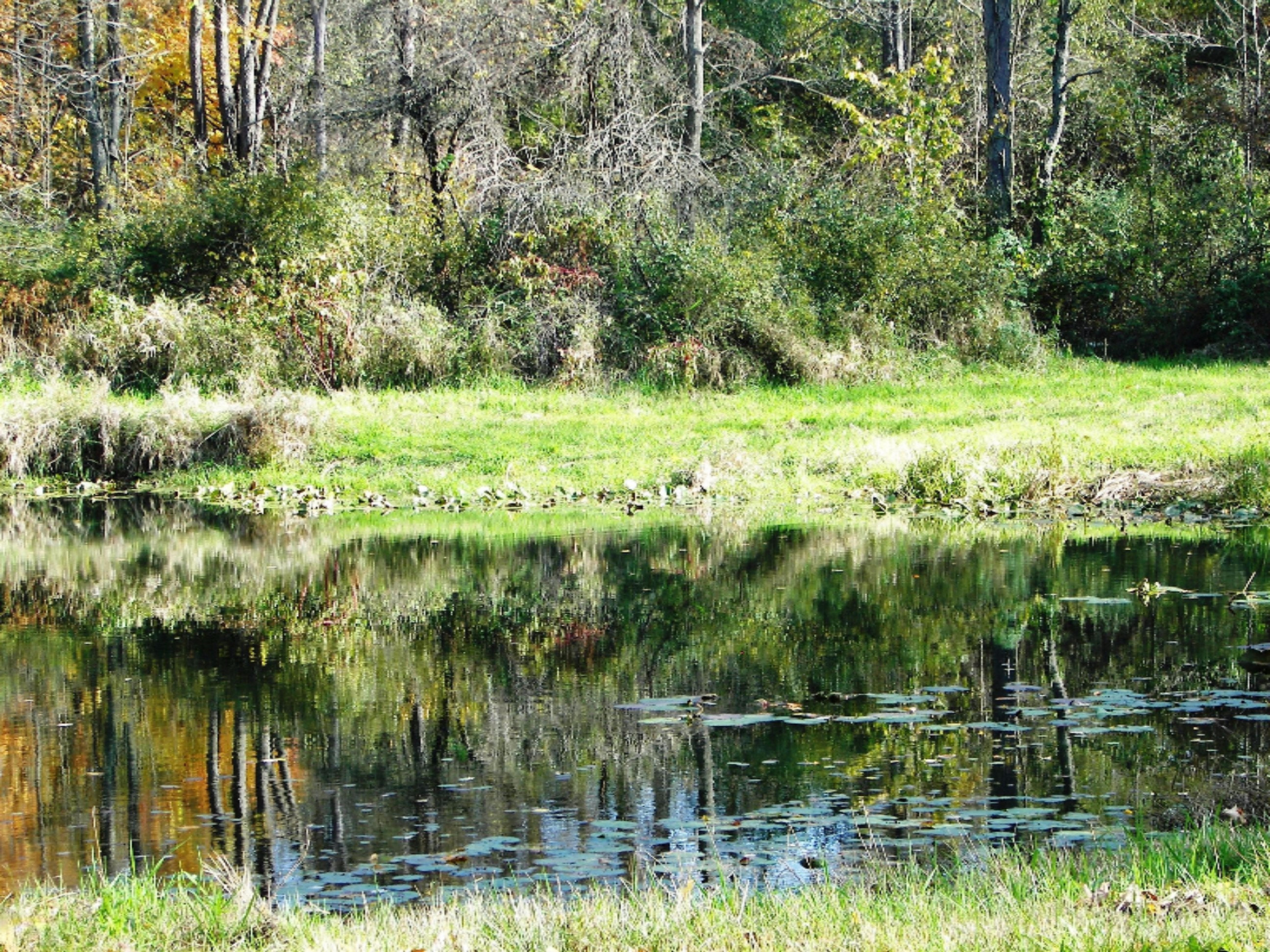 2816 West Sheffield Road Hickory Corners, MI 49060 - Photo 20 of 34 100_8472