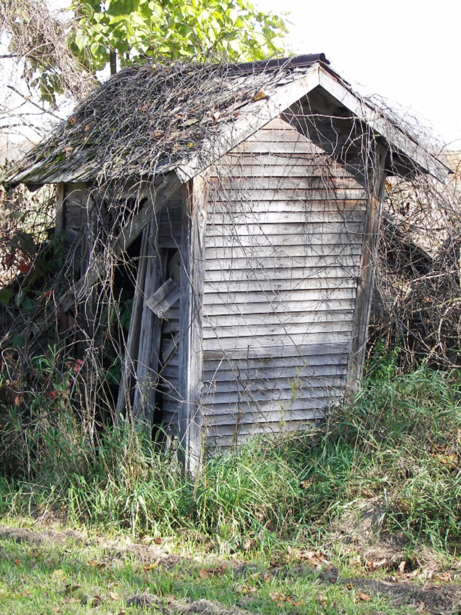 2816 West Sheffield Road Hickory Corners, MI 49060 - Photo 26 of 34 100_8466