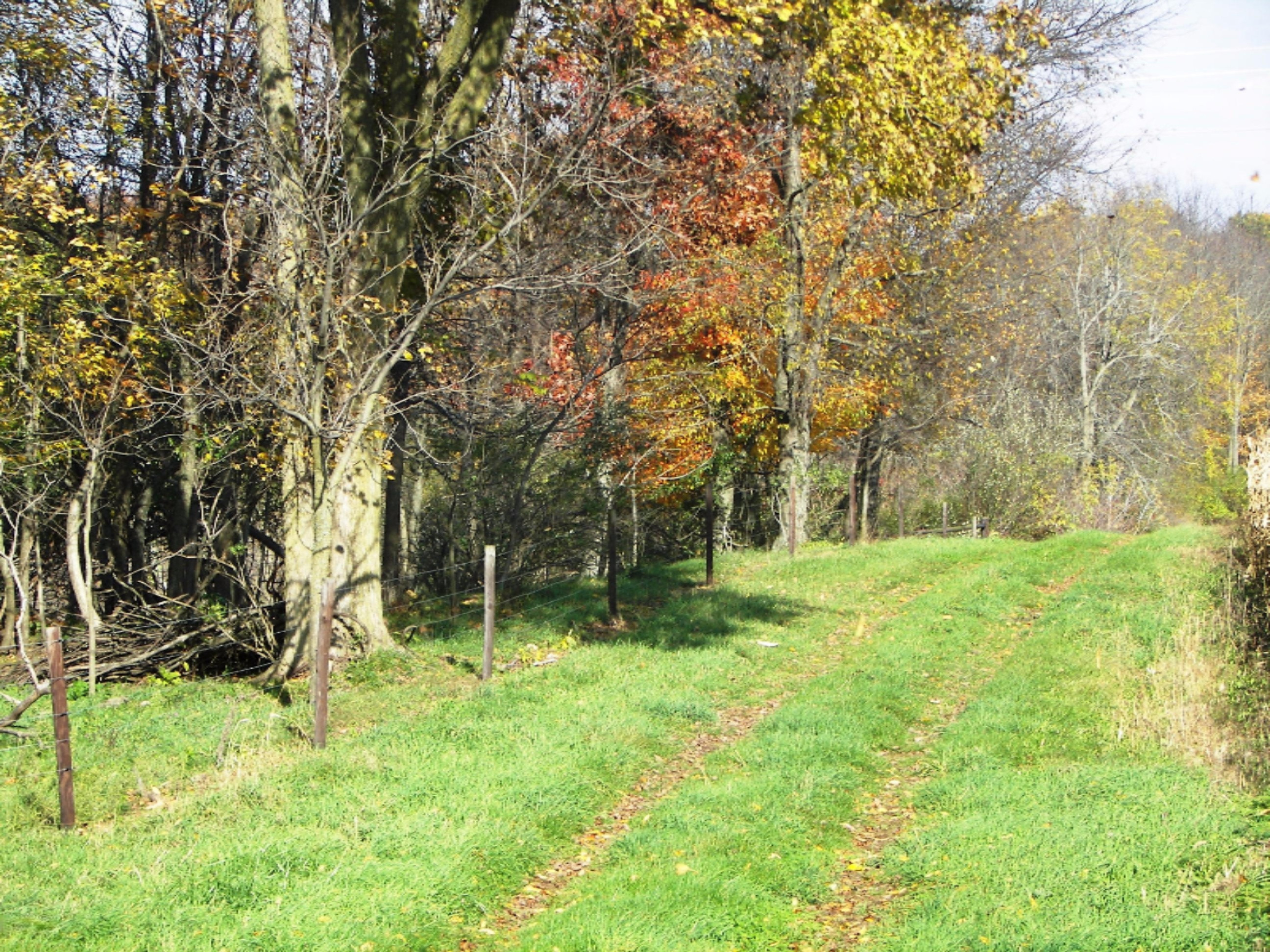 2816 West Sheffield Road Hickory Corners, MI 49060 - Photo 28 of 34 100_8469