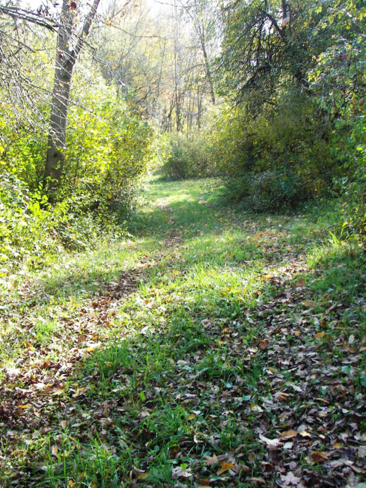 2816 West Sheffield Road Hickory Corners, MI 49060 - Photo 30 of 34 100_8478