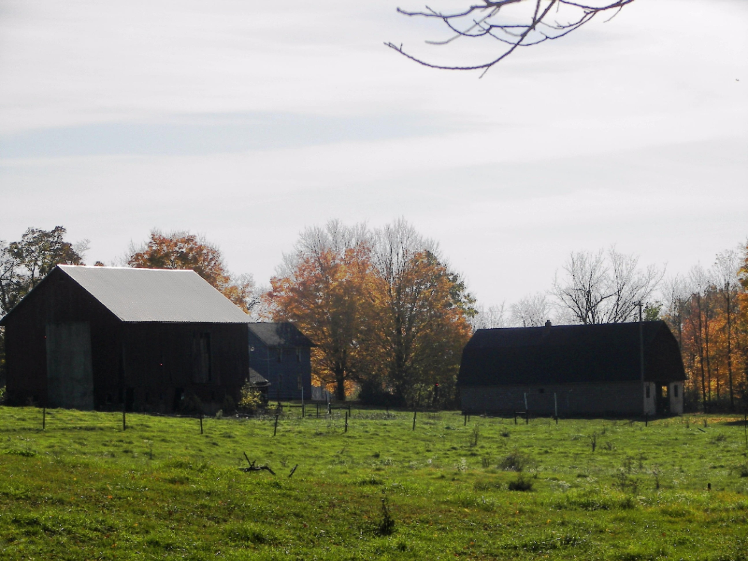 2816 West Sheffield Road Hickory Corners, MI 49060 - Photo 3 of 34 100_8492