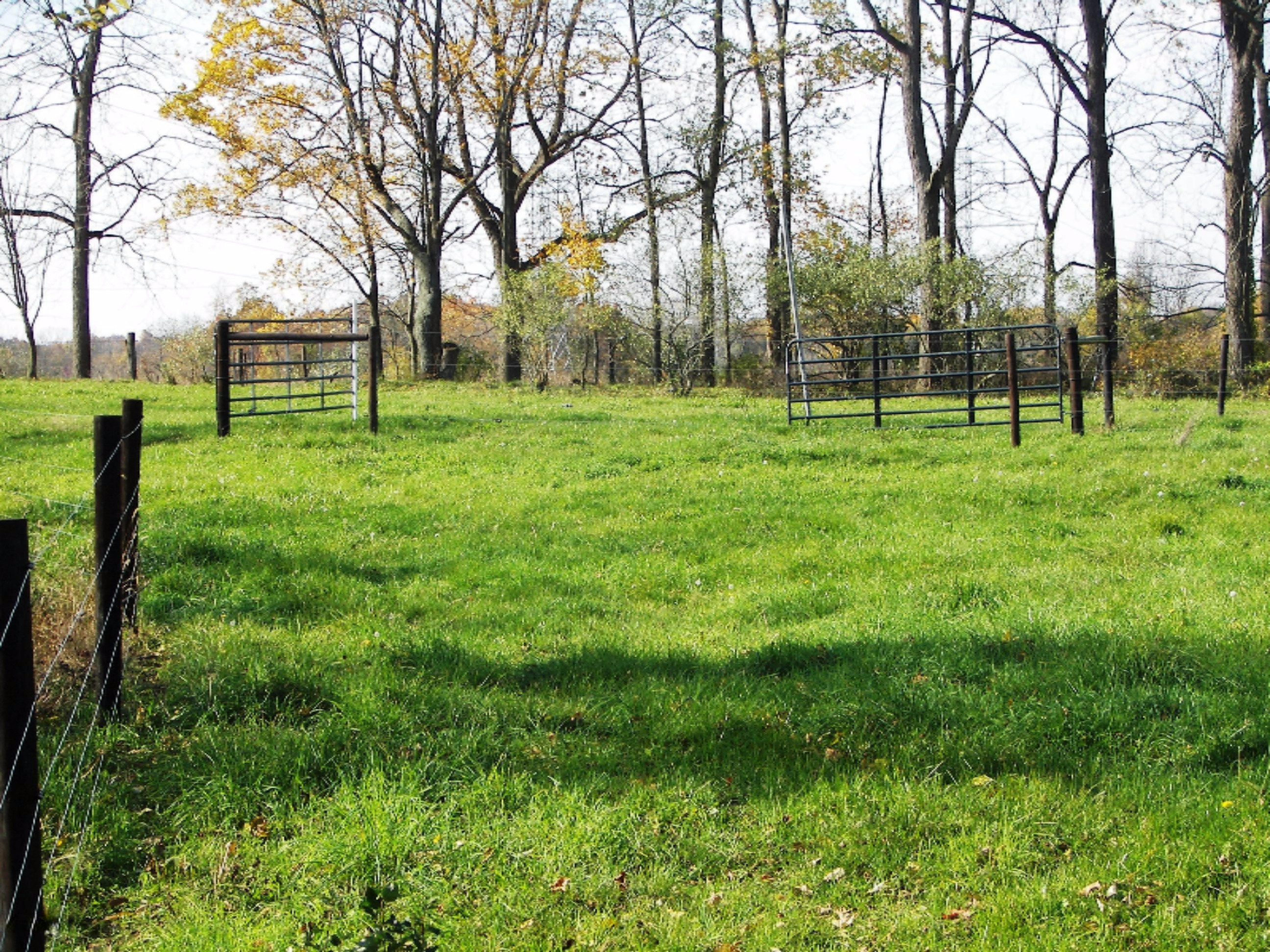 2816 West Sheffield Road Hickory Corners, MI 49060 - Photo 32 of 34 100_8483