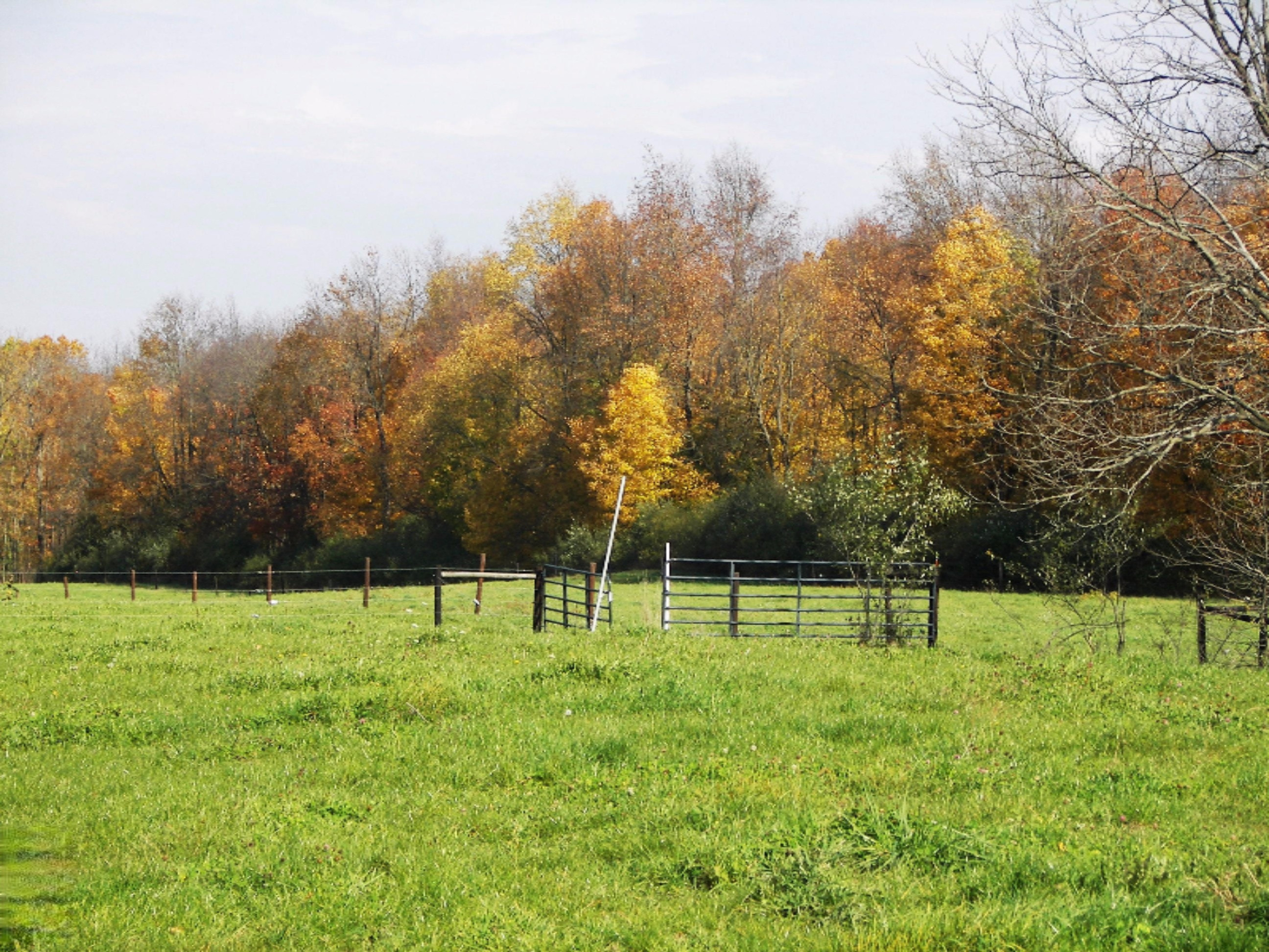 2816 West Sheffield Road Hickory Corners, MI 49060 - Photo 33 of 34 100_8489