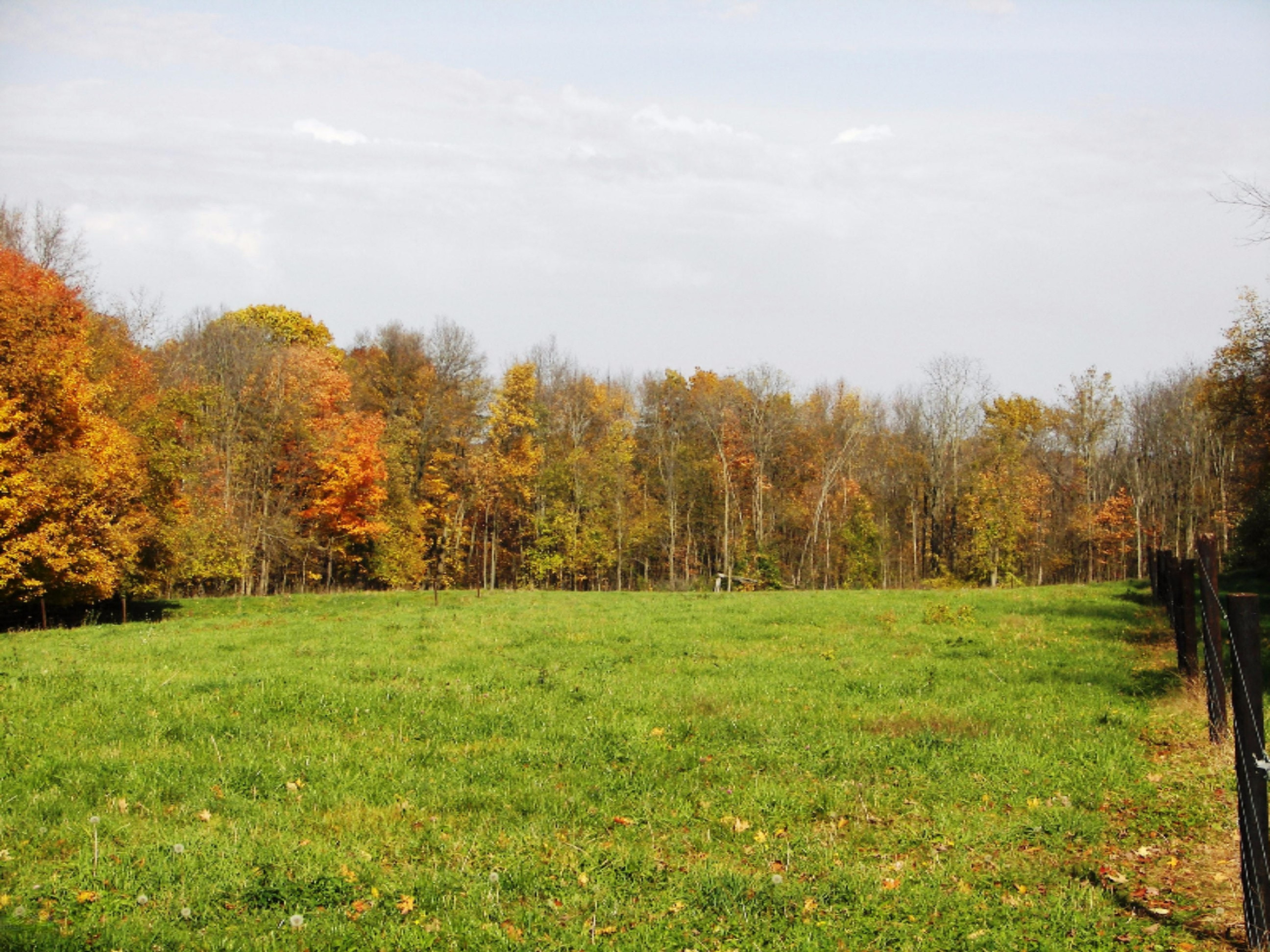 2816 West Sheffield Road Hickory Corners, MI 49060 - Photo 4 of 34 100_8481