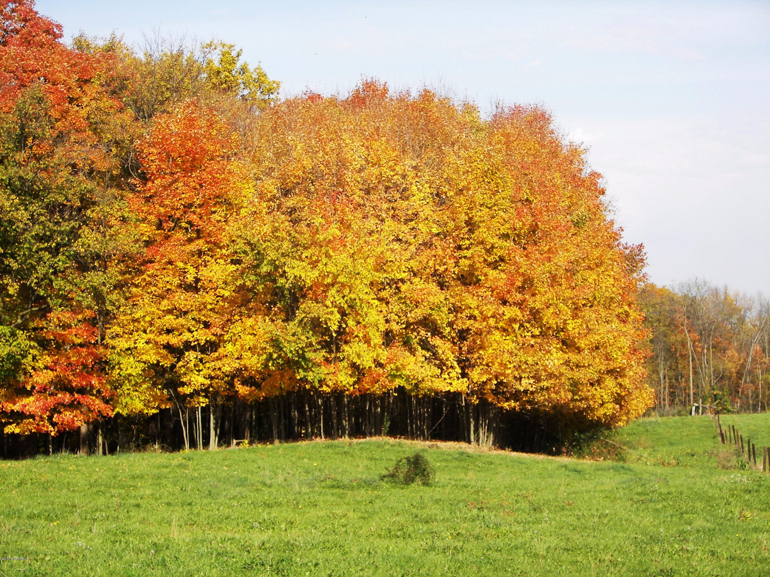 2816 West Sheffield Road Hickory Corners, MI 49060 - Photo 6 of 34 100_8485