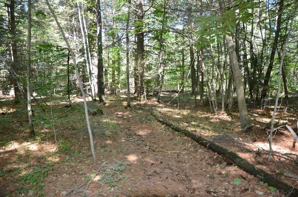 154 Lafayette Road Salisbury, MA 01952 - Photo 6 of 16 Gallery Image 6