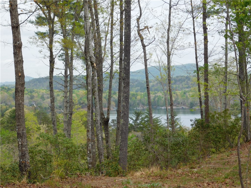 Lot 4 Old Chapman Bridge Road Salem, SC 29676 - Photo 1 of 9 Gallery Image 1