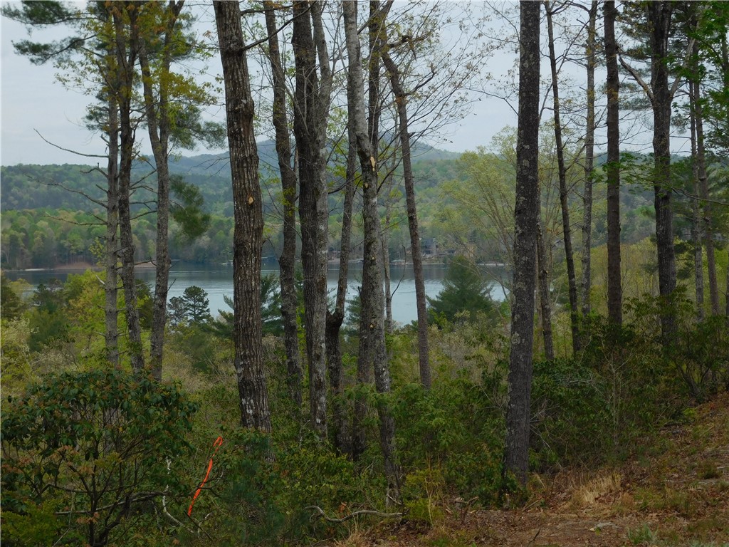 Lot 4 Old Chapman Bridge Road Salem, SC 29676 - Photo 2 of 9 Gallery Image 2